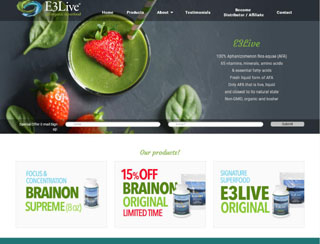 Website Design / Development & SEO E 3 Live